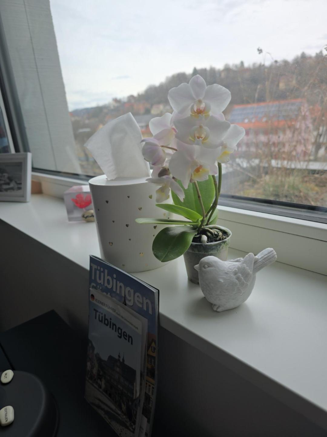 Stadtnahes Gaestezimmer Im Penthouse Bei Esi Homestay