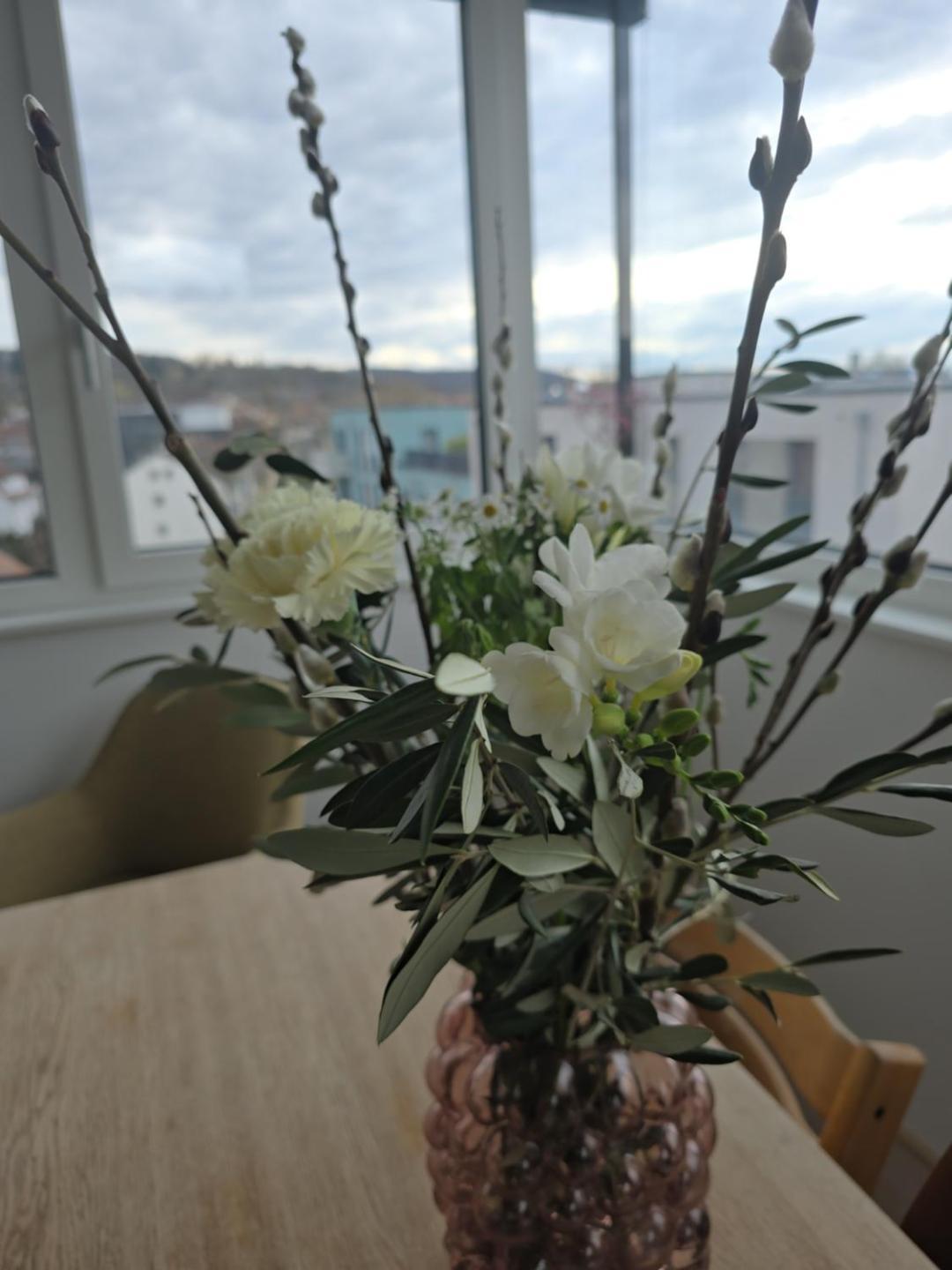 Stadtnahes Gaestezimmer Im Penthouse Bei Esi Tuebingen